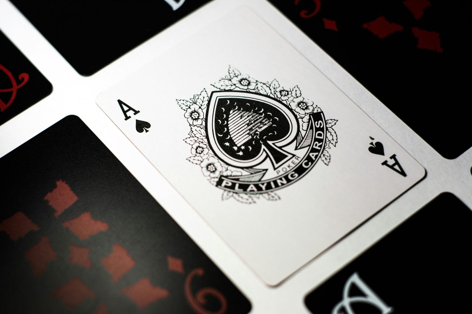 IP and The Gambler
